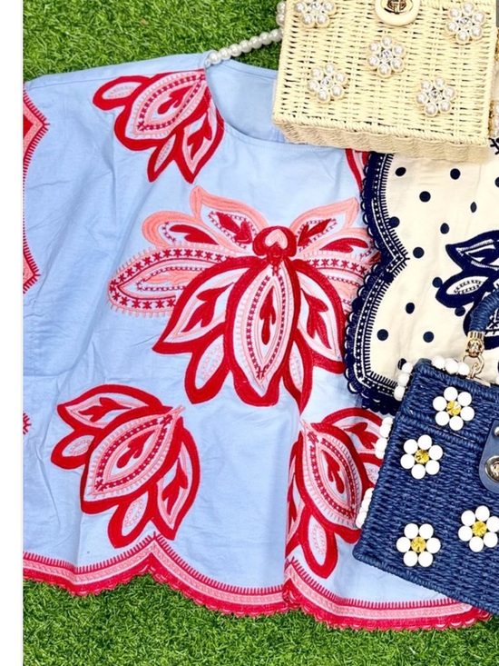 THML Tops - Thml Embroidered Light Blue Top with Red Floral Appliqué . Brand new , never wor